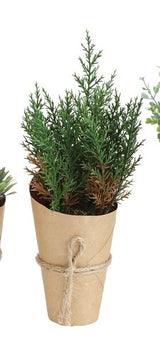 Faux Green Plants In Paper Pot